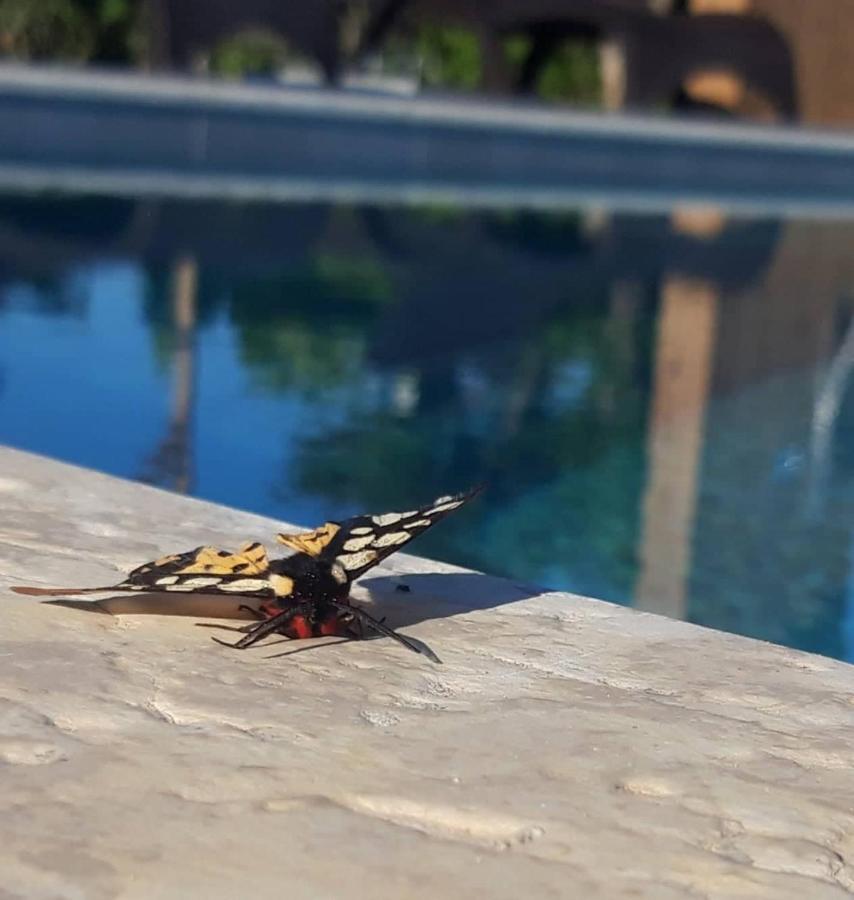 Sea Breeze Villa Tsilivi  Luaran gambar